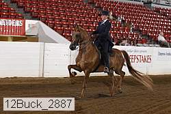 12buck_2887 proof