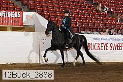 12buck_2888 proof