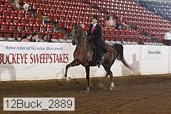 12buck_2889 proof