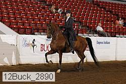 12buck_2890 proof