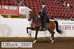 12buck_2897 proof