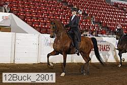 12buck_2901 proof