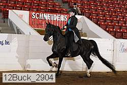 12buck_2904 proof