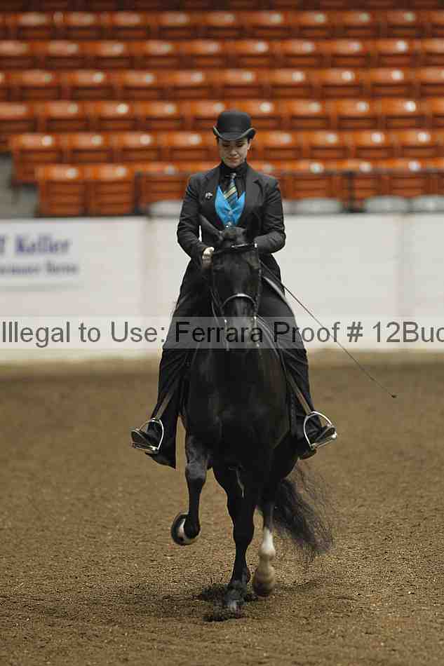 Proof 12buck_2905