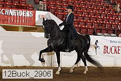 12buck_2906 proof