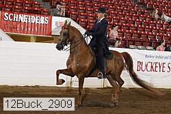 12buck_2909 proof