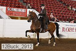 12buck_2912 proof