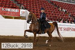 12buck_2918 proof