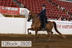 12buck_2920 proof