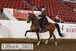 12buck_2922 proof