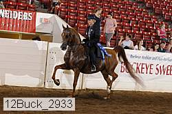 12buck_2933 proof