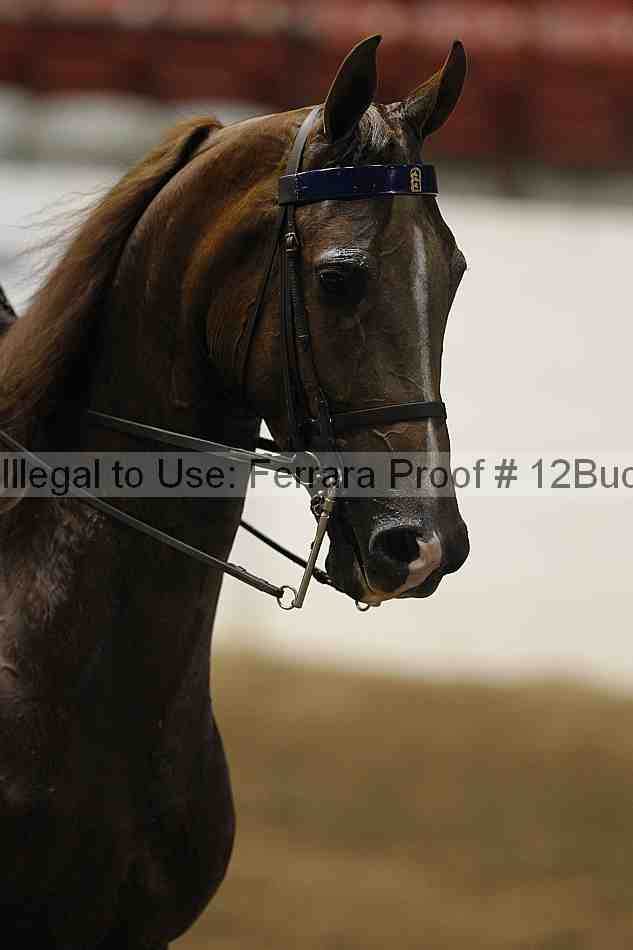 Proof 12buck_2939
