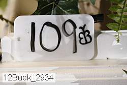 12buck_2934 proof