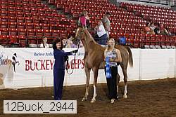 12buck_2944 proof