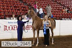 12buck_2945 proof