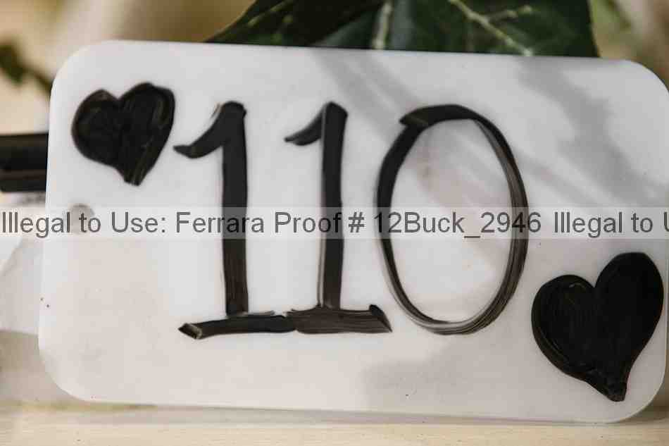 Proof 12buck_2946