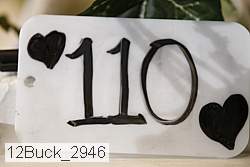 12buck_2946 proof