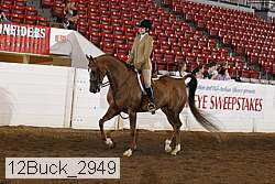 12buck_2949 proof