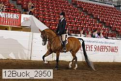 12buck_2950 proof