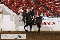 12buck_2952 proof
