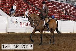 12buck_2953 proof