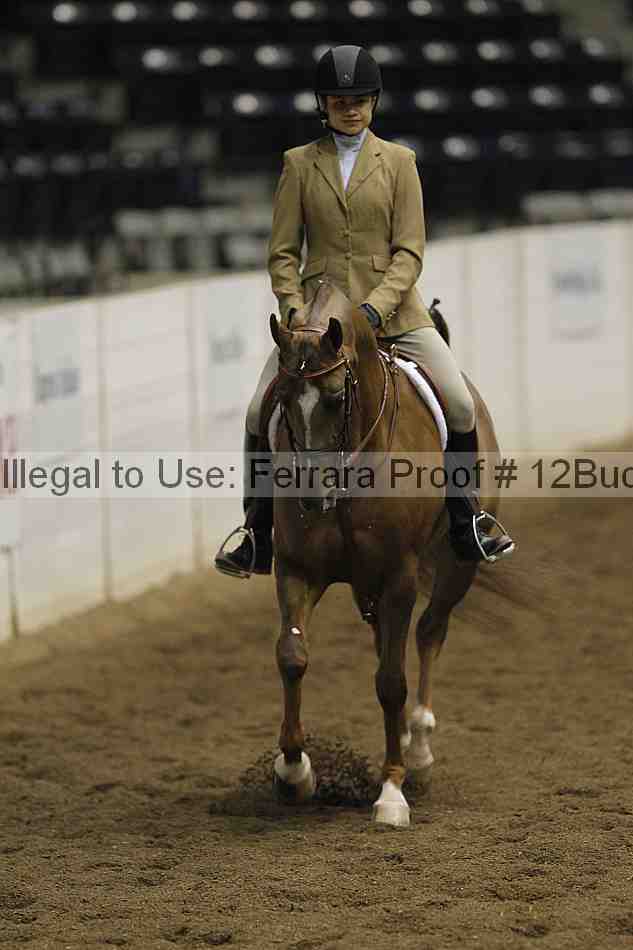 Proof 12buck_2954