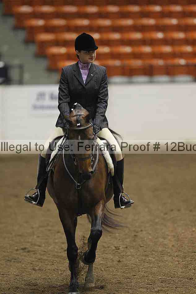 Proof 12buck_2958