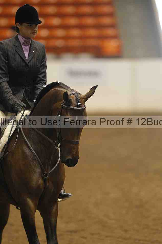Proof 12buck_2959