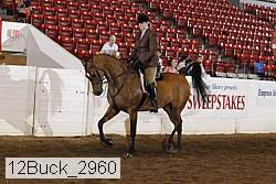 12buck_2960 proof