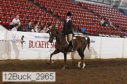 12buck_2965 proof