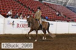 12buck_2966 proof