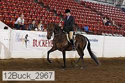 12buck_2967 proof