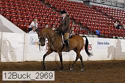 12buck_2969 proof