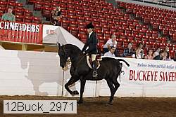 12buck_2971 proof
