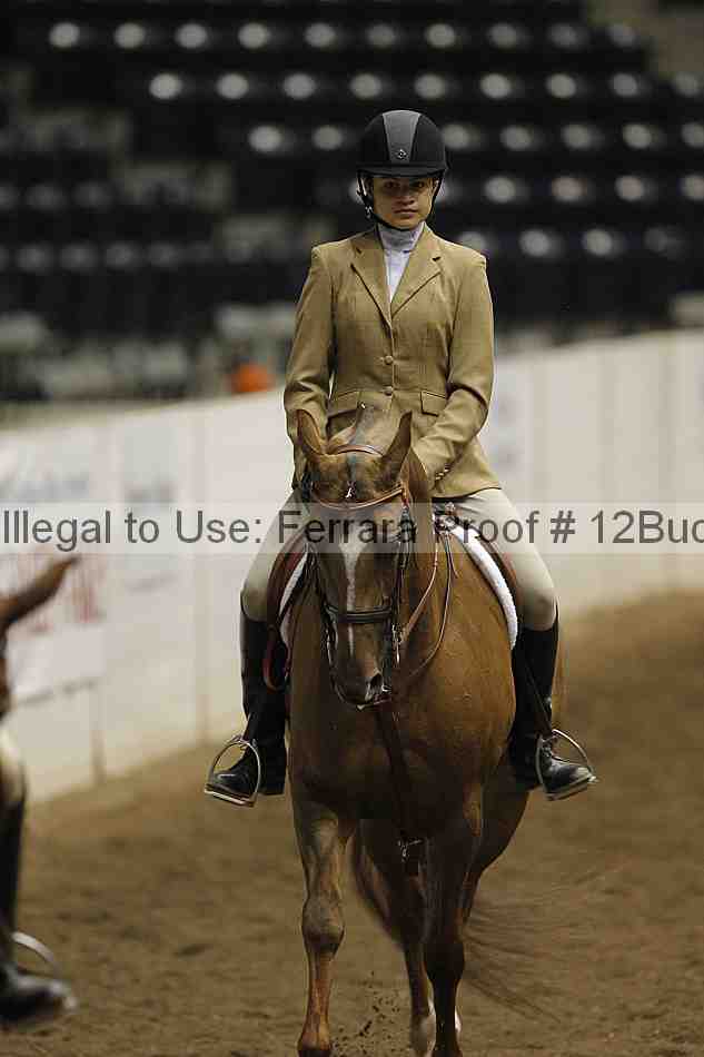 Proof 12buck_2974
