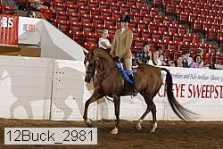 12buck_2981 proof