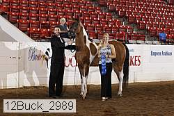 12buck_2989 proof