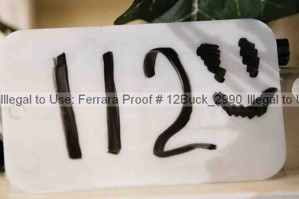 Proof 12buck_2990