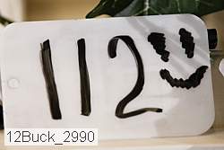 12buck_2990 proof