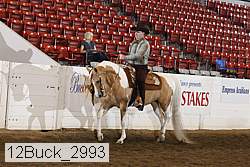 12buck_2993 proof
