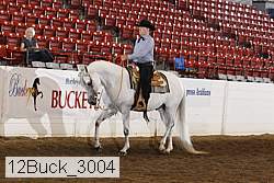 12buck_3004 proof