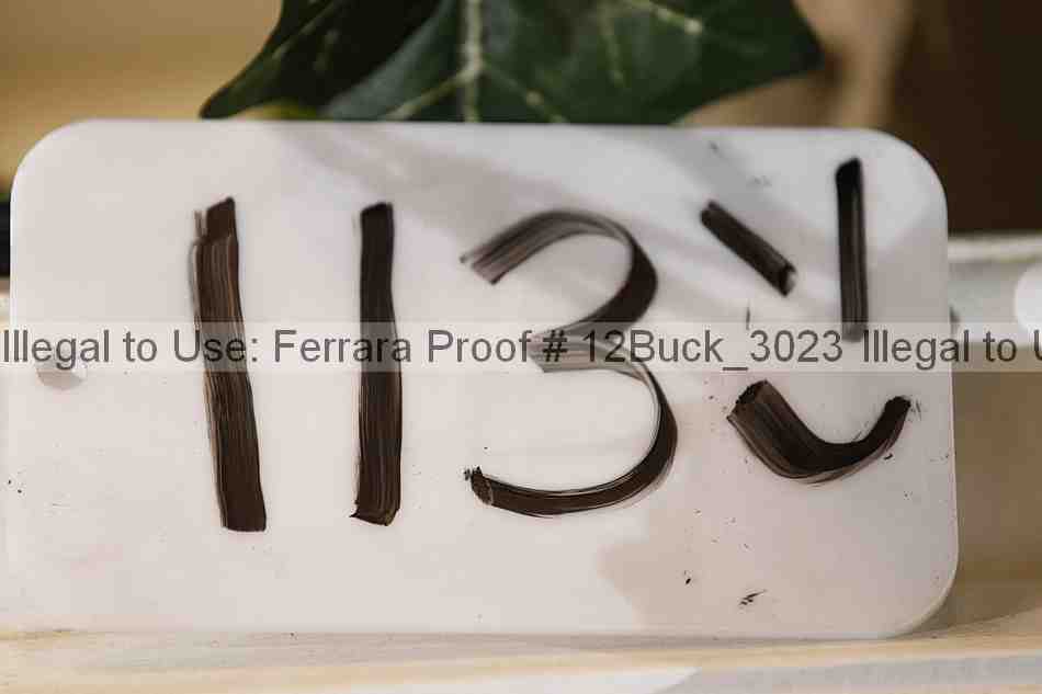 Proof 12buck_3023