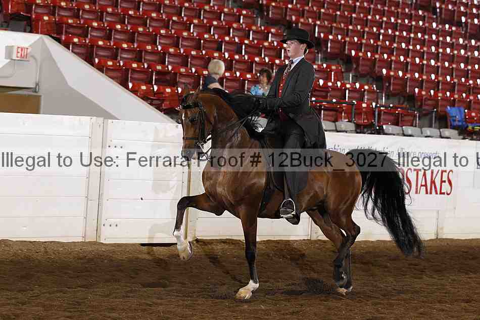 Proof 12buck_3027