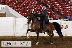 12buck_3027 proof