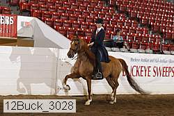 12buck_3028 proof