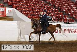 12buck_3030 proof