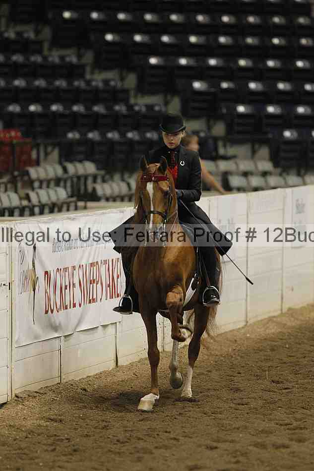 Proof 12buck_3038