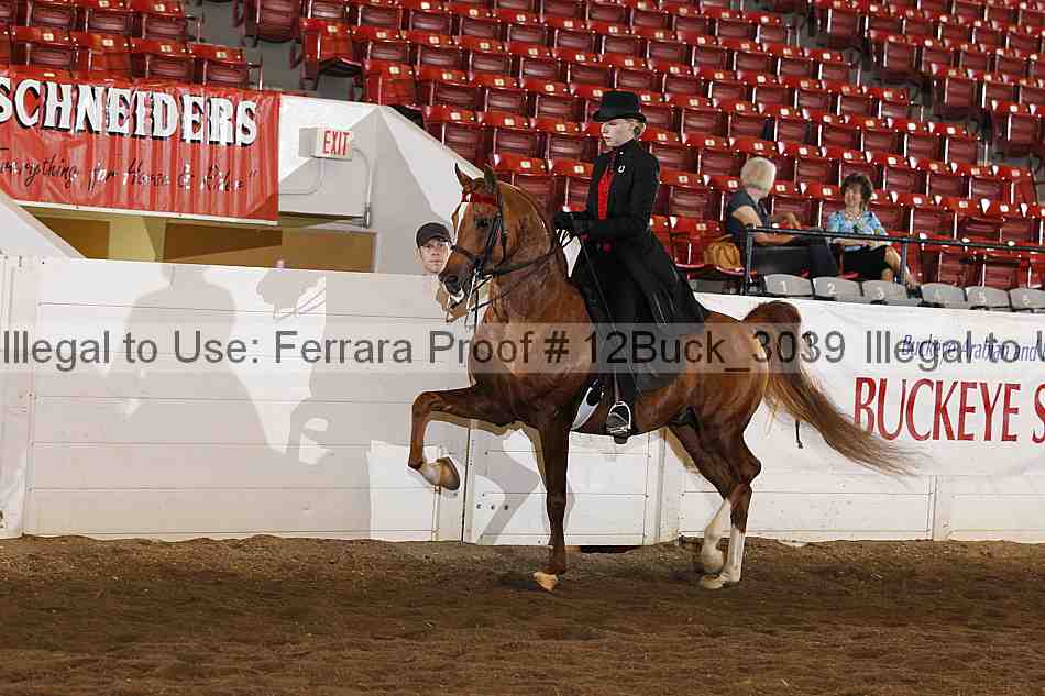 Proof 12buck_3039