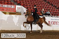 12buck_3039 proof