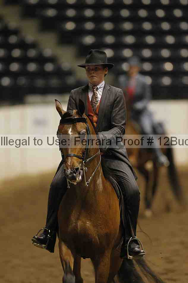 Proof 12buck_3041
